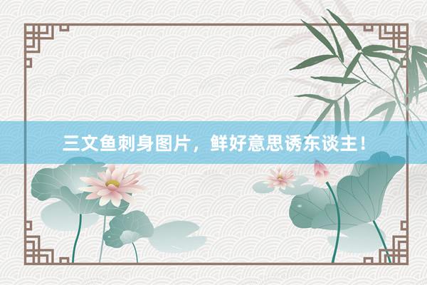 三文鱼刺身图片，鲜好意思诱东谈主！